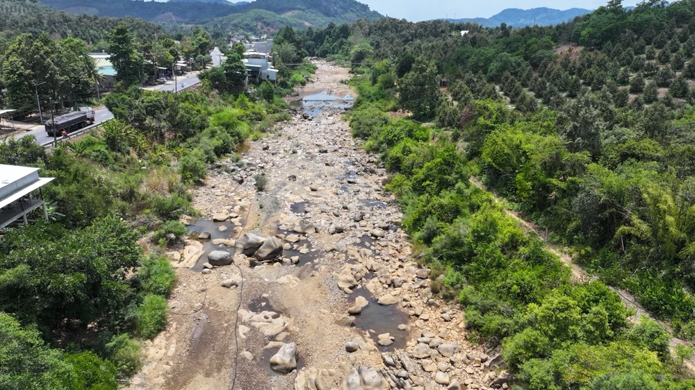 sau-rieng-11 lớn.jpeg