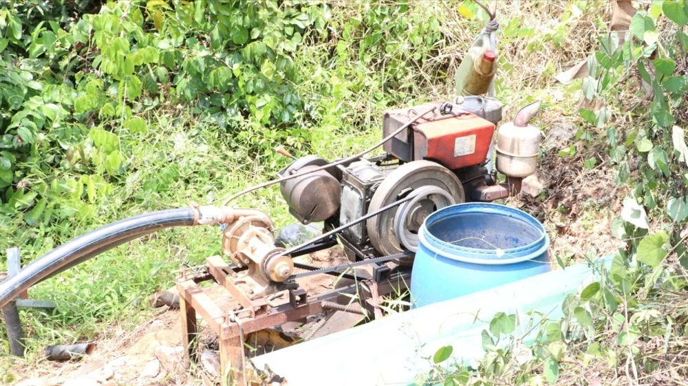 sau-rieng-13 lớn.jpeg