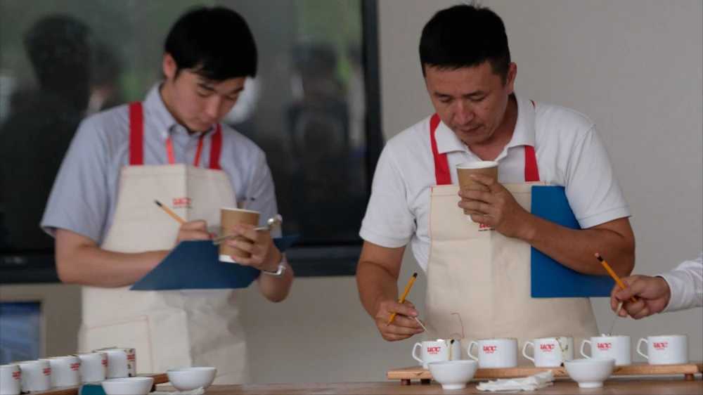 8 mẫu cà phê Arabica ngon nhất Việt Nam được tuyển lựa ở Đà Lạt