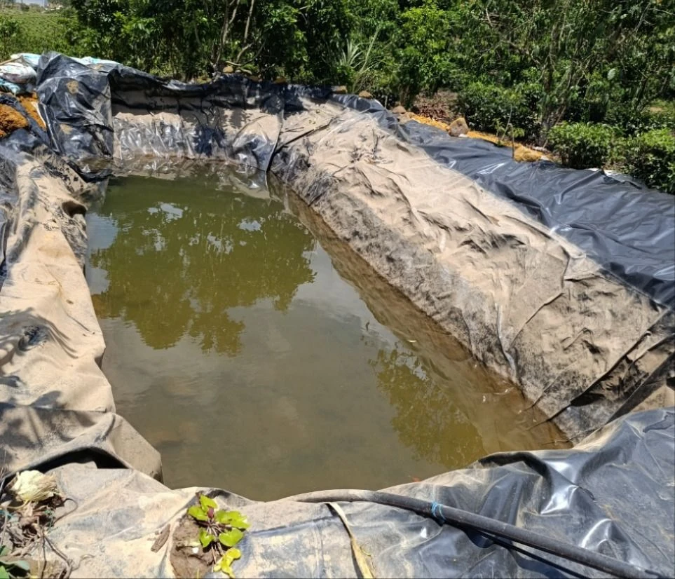 2 mợ cháu đuối nước dưới hồ nước tưới cà phê