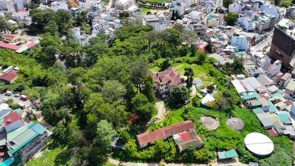 Lâm Đồng cung cấp thông tin các dự án trồng, chăm sóc cây xanh đô thị theo yêu cầu của Bộ Công an