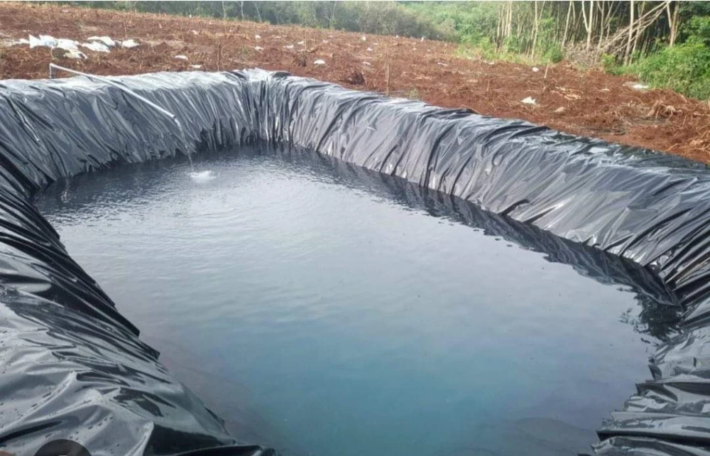 Cháu bé 3 tuổi tử vong khi rơi xuống hồ chứa nước tưới sầu riêng