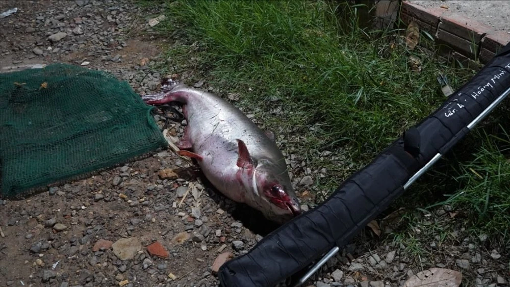 Công an tỉnh Tây Ninh bắt 84 câu cá độ ăn tiền