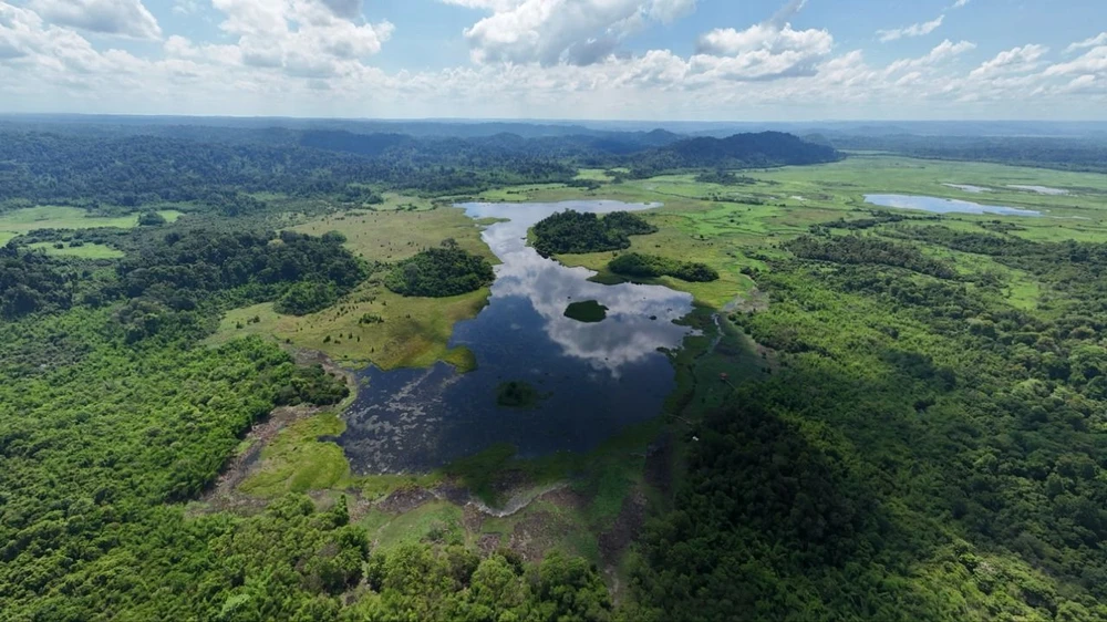 Vườn Quốc gia Cát Tiên chính thức được công nhận đạt danh hiệu Danh lục Xanh IUCN