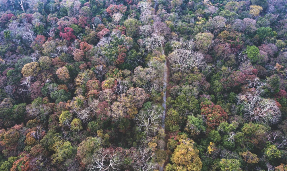 vuon-quoc-gia-3 lớn.jpeg