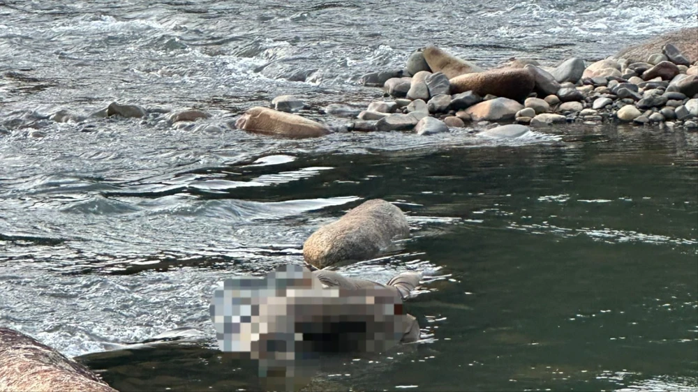 Thi thể 1 người đàn ông trôi dưới sông Đạ Huoai