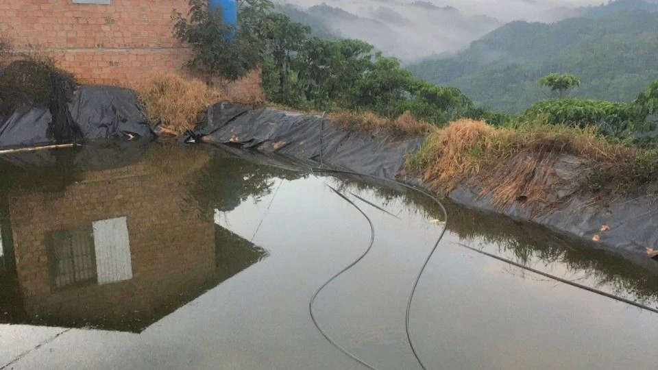 2 chị em đuối nước dưới ao tưới cà phê