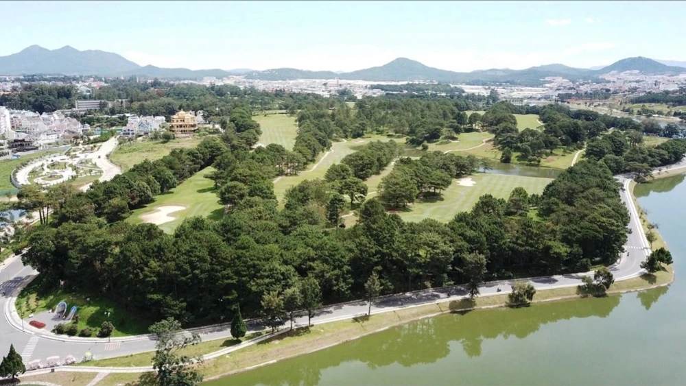 Đưa gần 30 ha rừng trồng thông trong Đồi Cù ra khỏi đất rừng phòng hộ