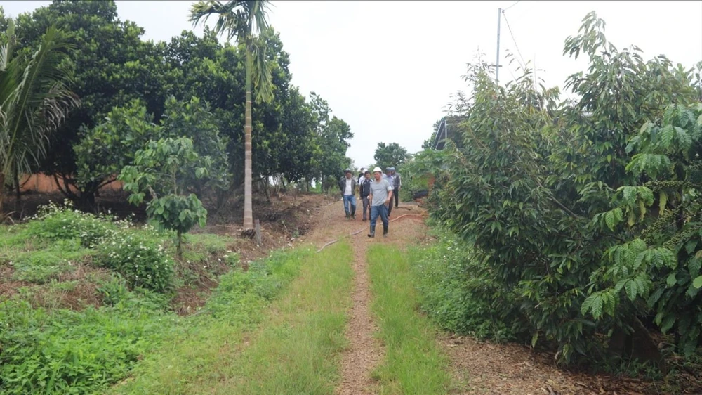 cao-toc-bao-loc-5 lớn.jpeg