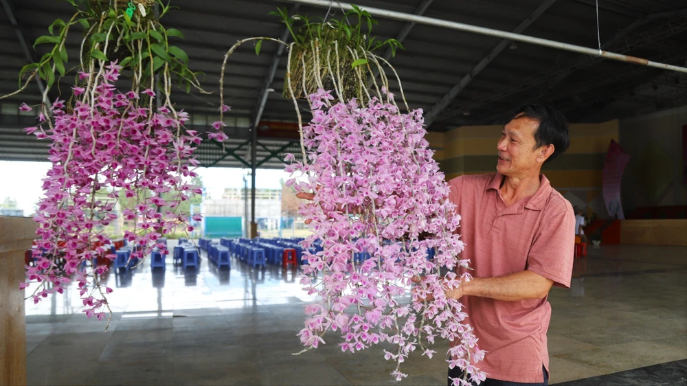 Thành lập Hội hoa Lan TP Bảo Lộc