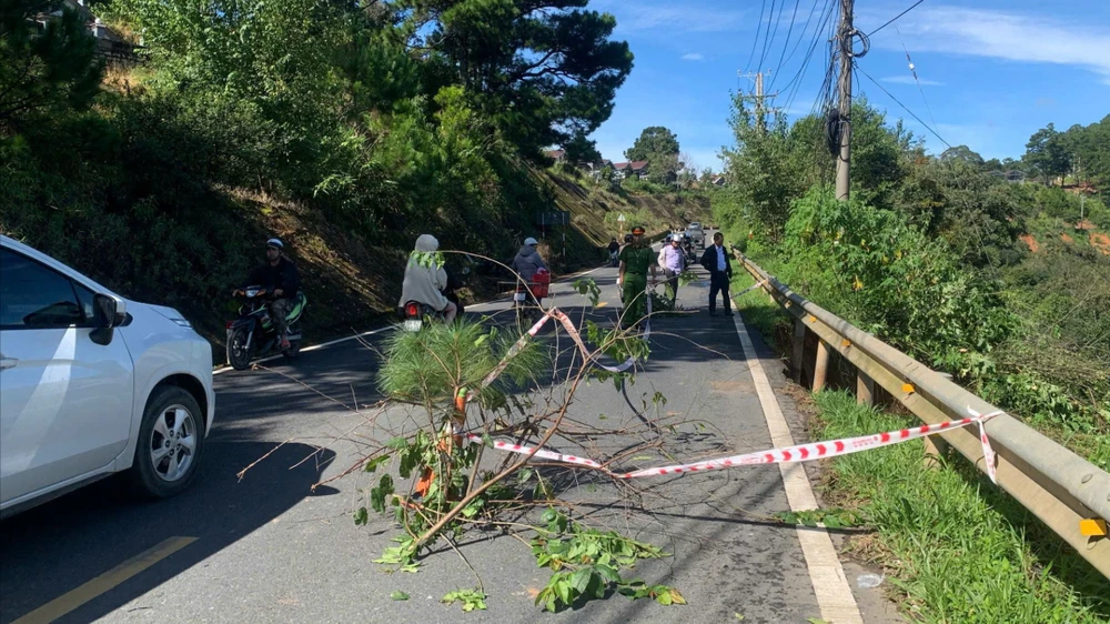 Đường đi đồi điện gió ở Đà Lạt bị sạt lở