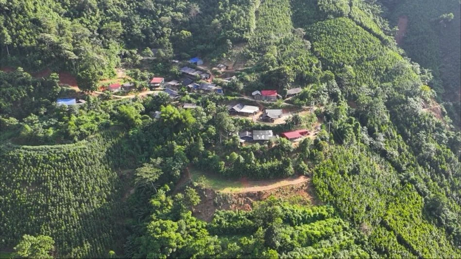 thon-kho-vang-10 lớn.jpeg