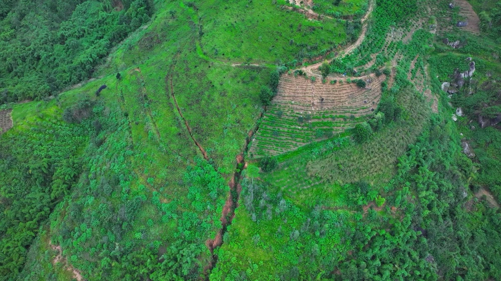 tinh-lam-dong-111 lớn.jpeg