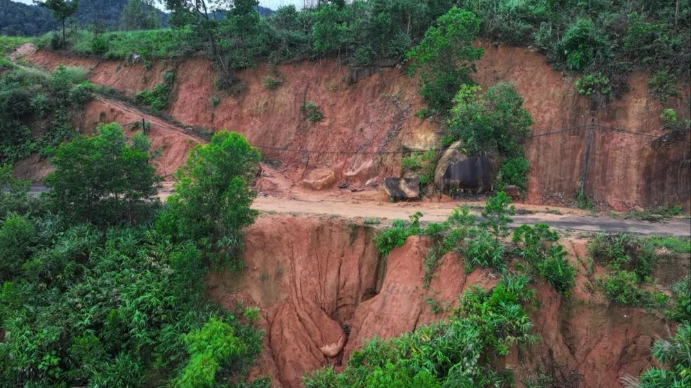 tinh-lam-dong-1111 lớn.jpeg