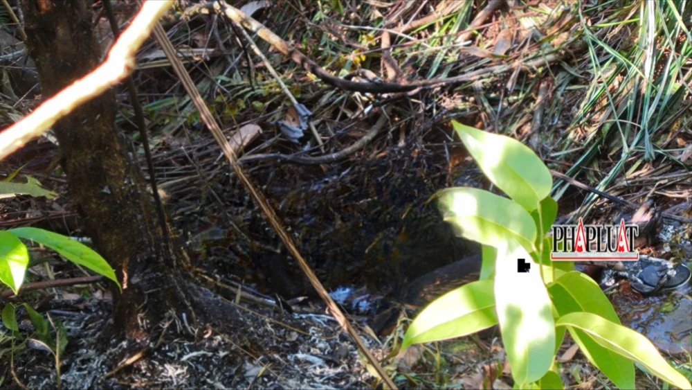 Phát hiện thi thể nghi là bác sĩ cháy đen ở TP Bảo Lộc