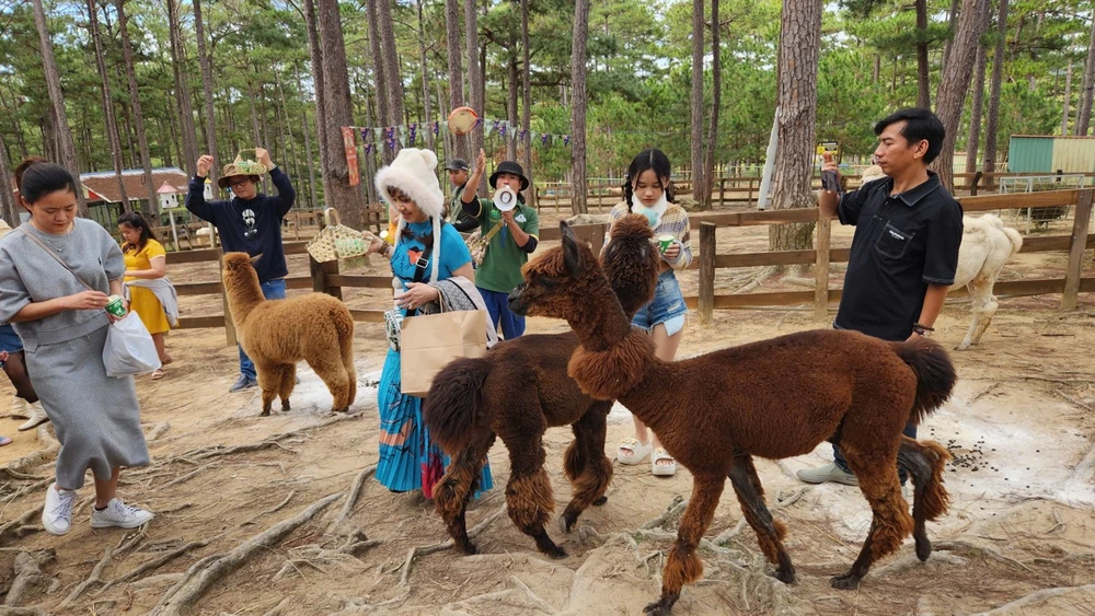 z6276352759174_beb75b6c0332a3b49e5bd4ab392628ff lớn.jpeg