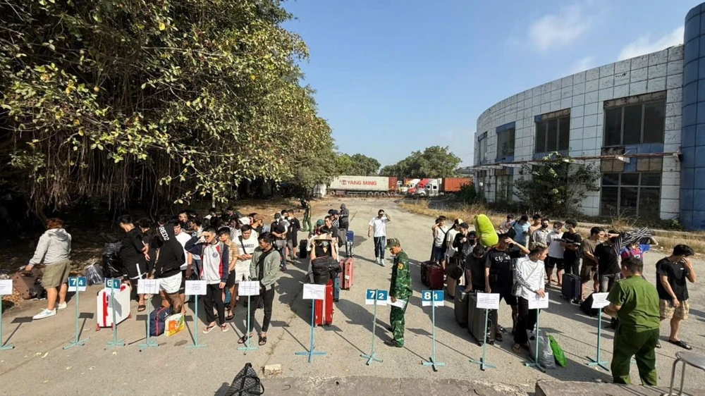 176 người làm việc trong công ty lừa đảo ở Campuchia về nước