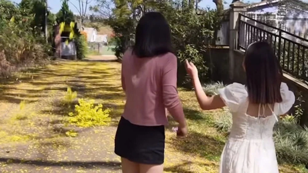 Xin hãy để hoa phượng vàng nở trong lòng du khách