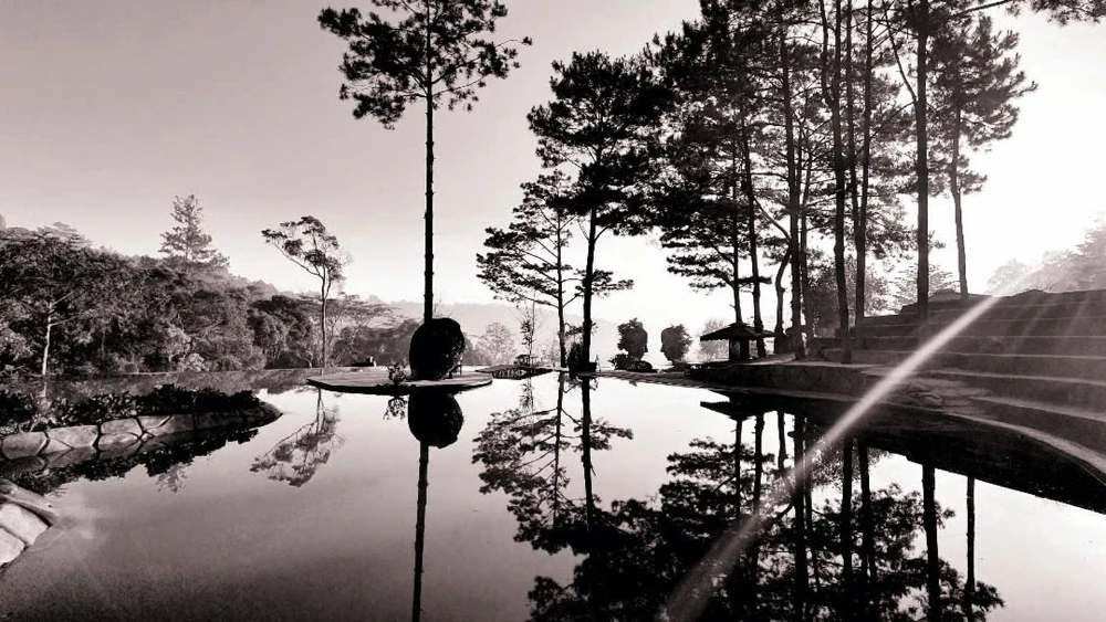 Cục thuế tỉnh Lâm Đồng nói gì khi bị tố tự tạo ra biên bản đối thoại, chất vấn với doanh nghiệp