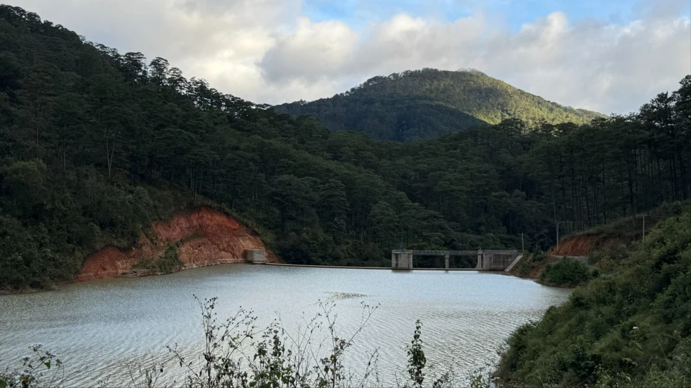 Tỉnh Lâm Đồng thu hồi 45 dự án cho thuê môi trường rừng