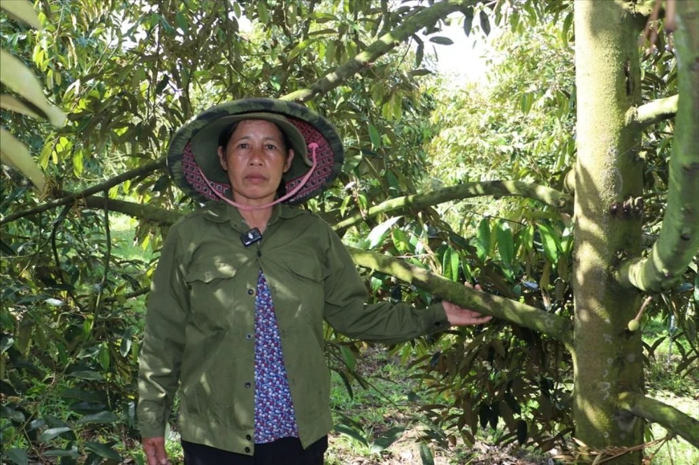 tinh-lam-dong-2 lớn.jpeg