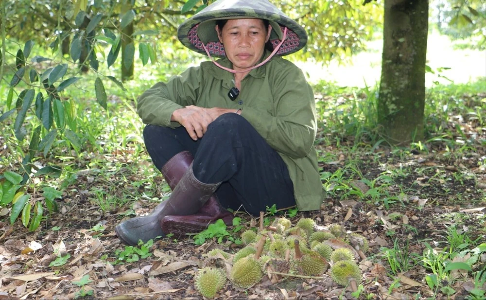 tinh-lam-dong-3 lớn.jpeg