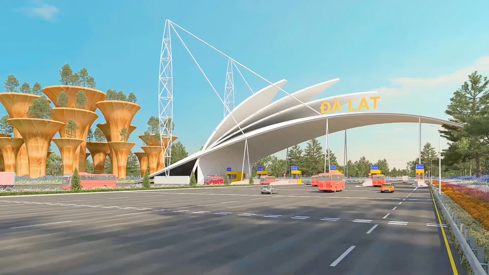 cao-toc-55 lớn.jpeg