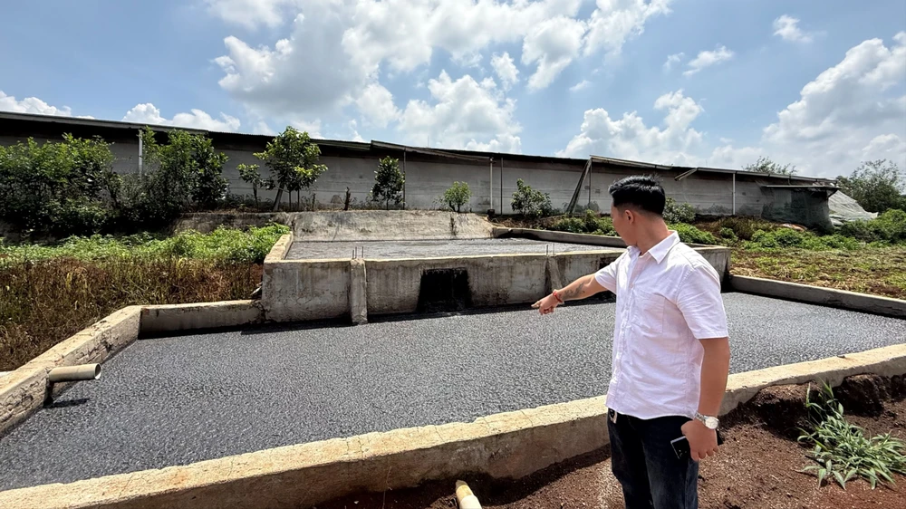 Dân kêu cứu vì trại heo gây ô nhiễm giữa khu dân cư