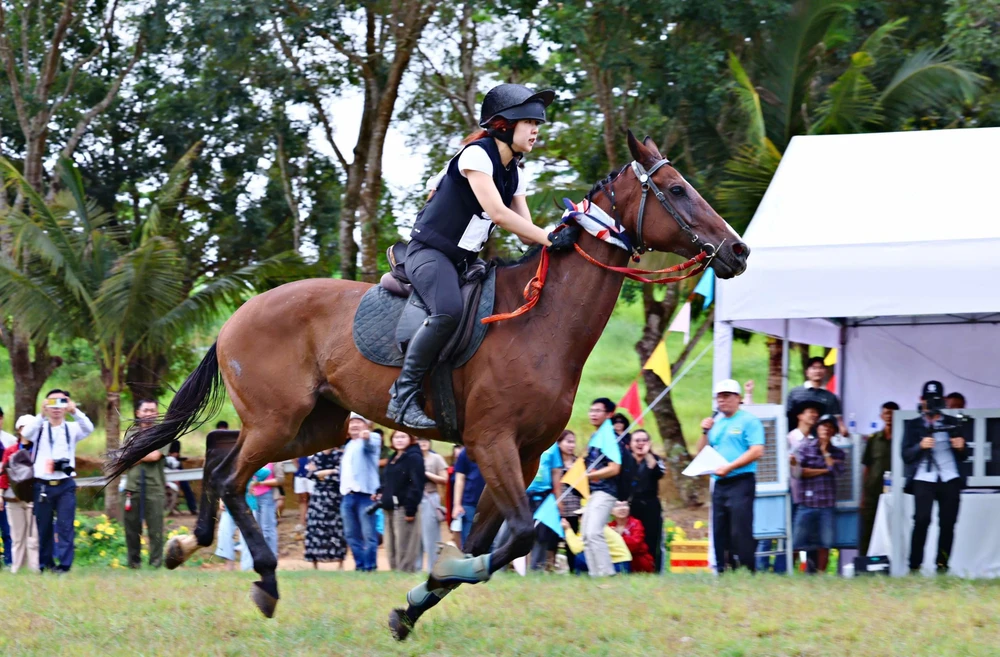 Ngựa tung vó ở tỉnh Lâm Đồng, kỳ vọng tiến ra SEA Games 35