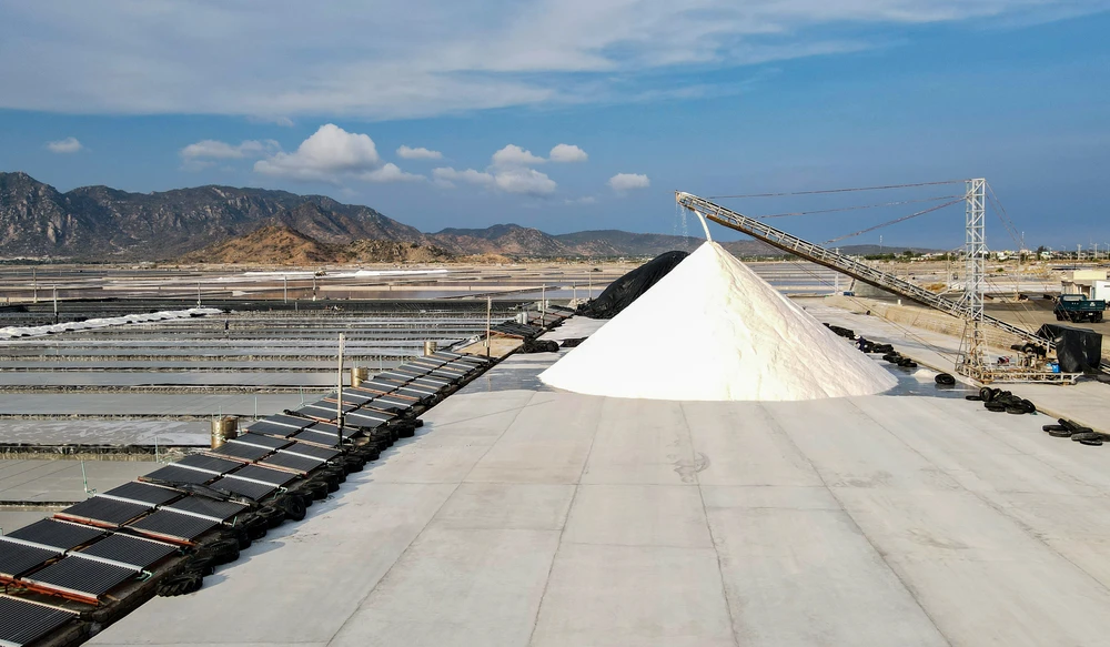 muối đầm vua 4.jpg