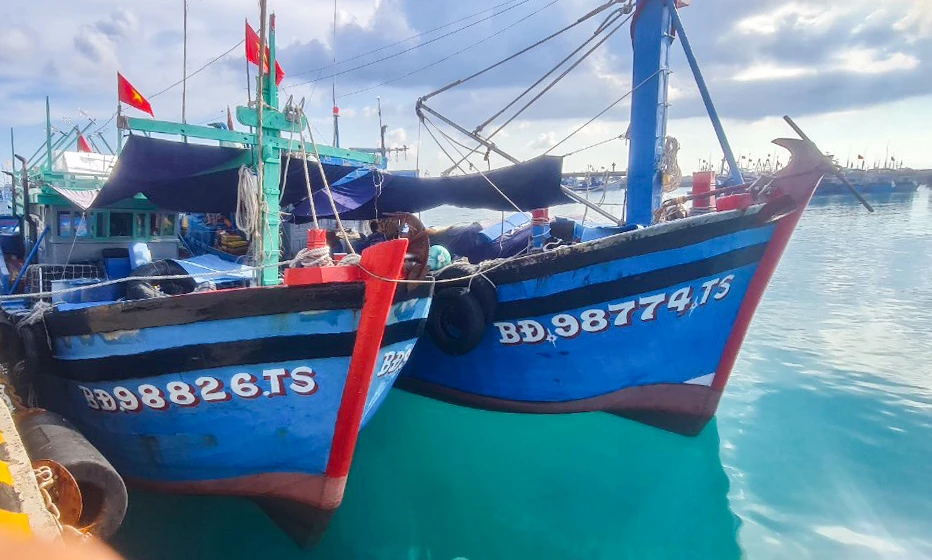 Tàu cá.jpg