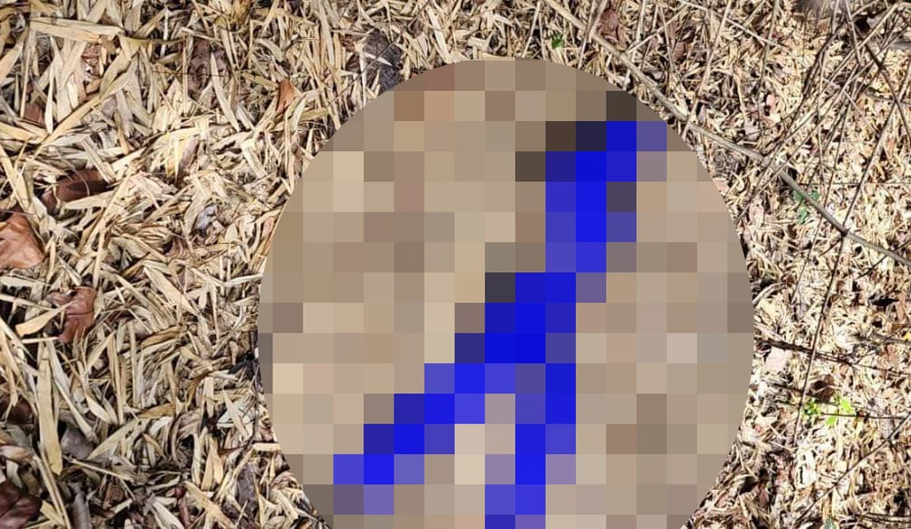 thị xã ninh hòa.jpg