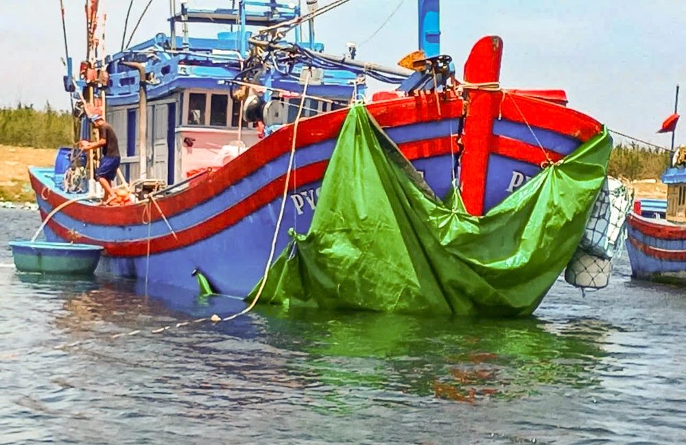 tàu việt thuận.jpg