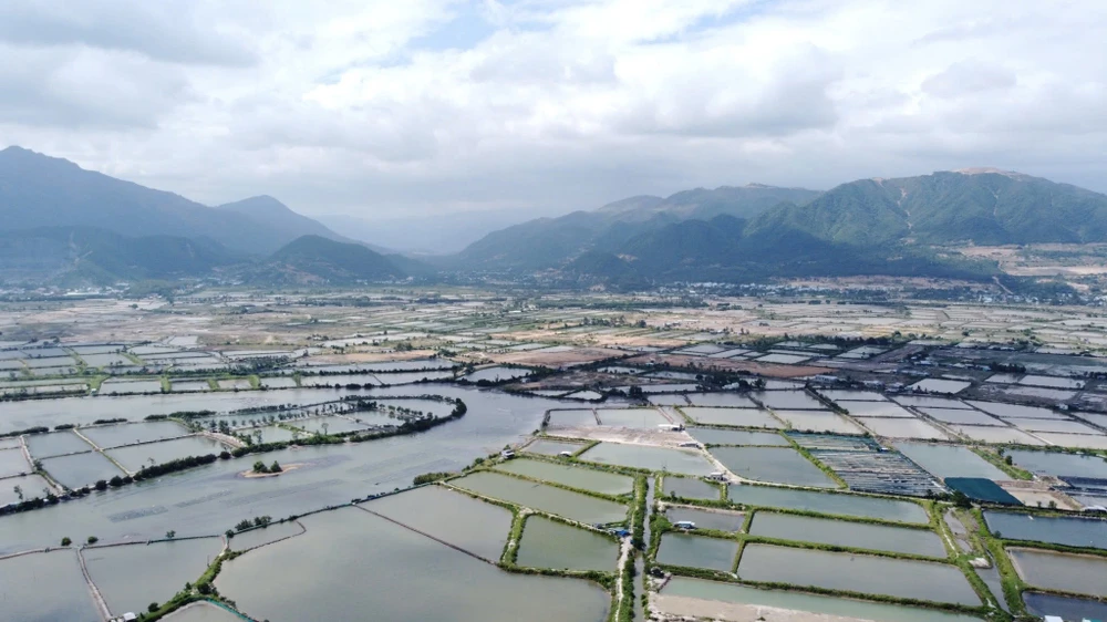 LUẬT ĐẤT ĐAI.jpg