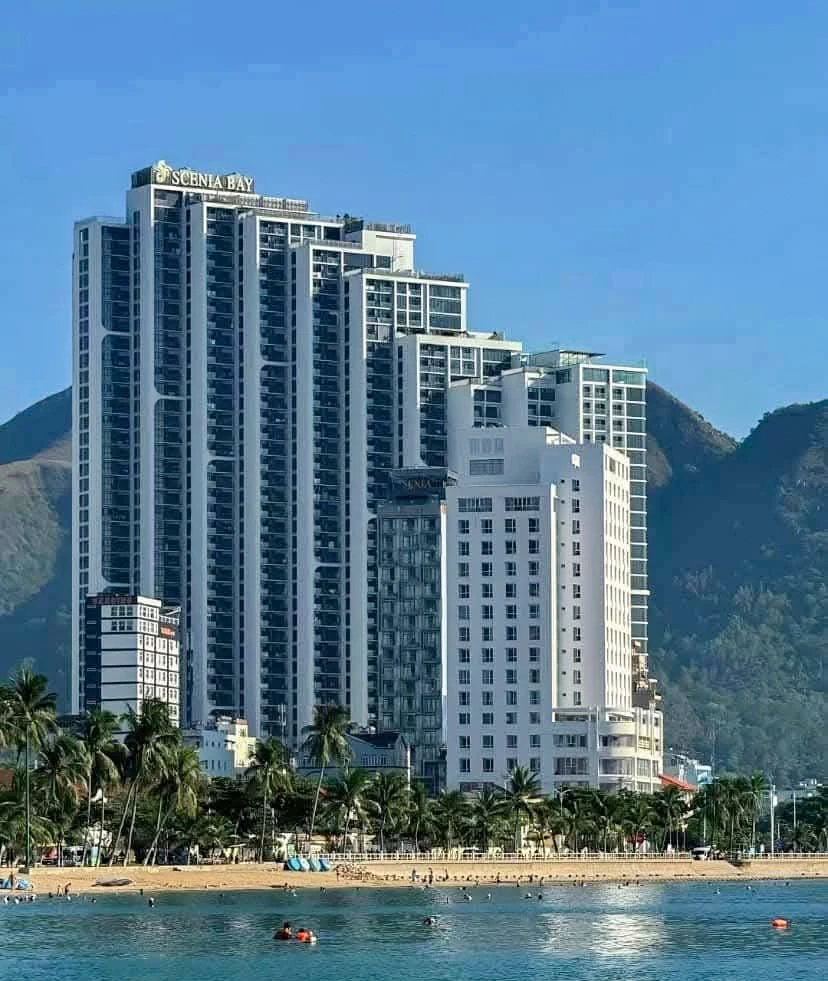 Công ty CP Nha Trang Bay.jpg