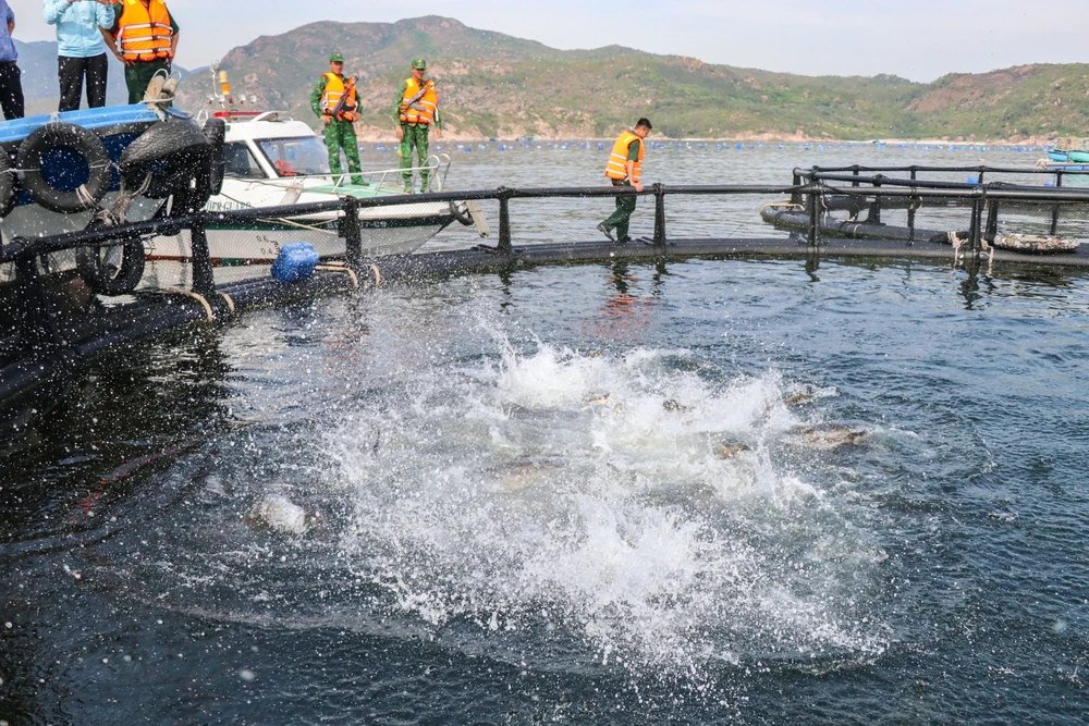 nuôi biển công nghệ cao.jpg