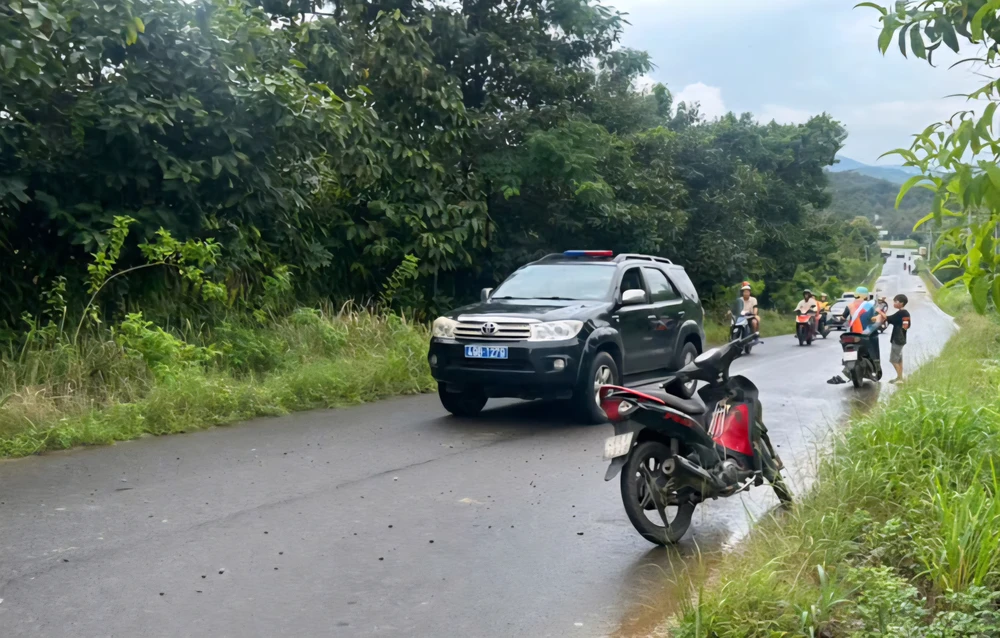 Vườn sầu riêng.jpg