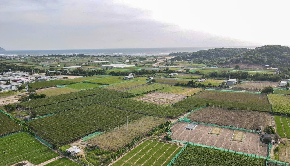 điện hạt nhân.jpg