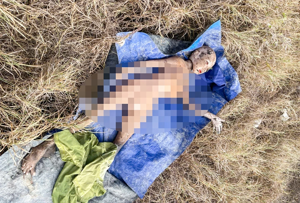 búp bê tình dục.jpg