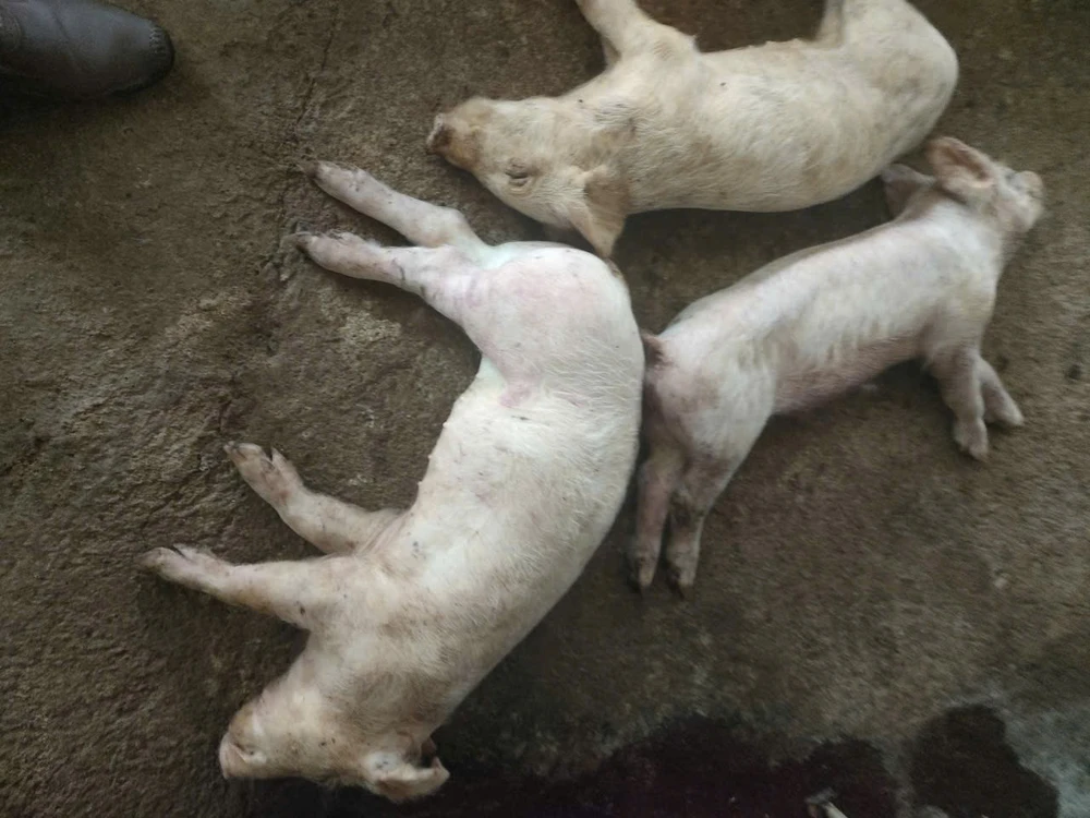 Xã Bảo Lâm 1.jpg