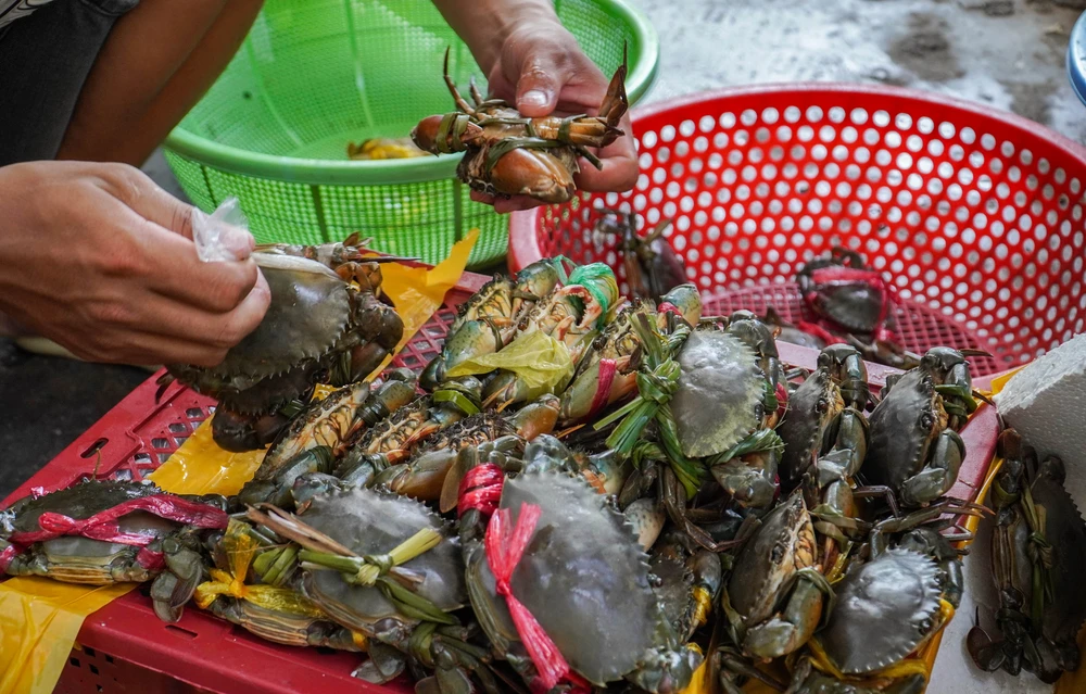 Hải sản ở đầm Nha Phu nức tiếng vì tươi ngon. Trong ảnh: cua là một trong nhiều đặc sản của làng Hà Liên.
