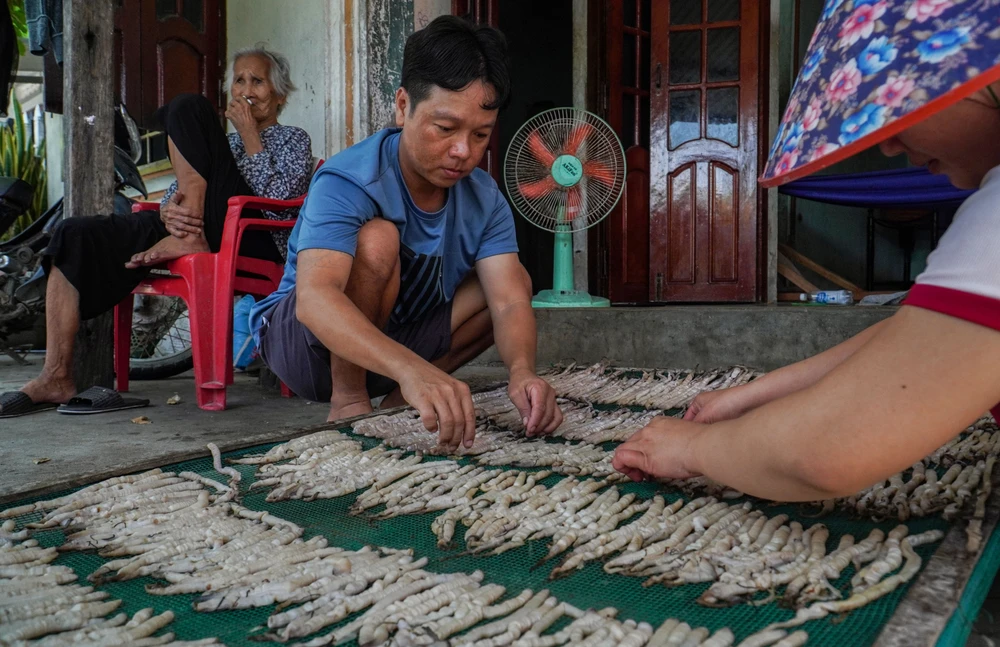 Người dân ở làng cổ Hà Liên còn nuôi sá sùng.