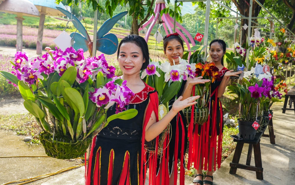 giải đặc biệt.jpg