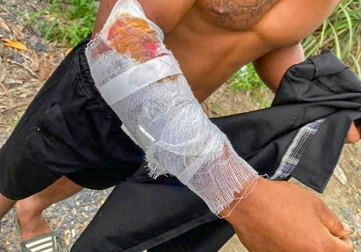 cá sấu sổng chuồng.jpg