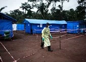 Báo động dịch Ebola bùng phát ở Congo