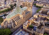 Đề xuất táo bạo 'xanh' hóa Nhà thờ Đức Bà Paris