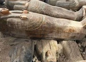 Bí hiểm 20 quan tài gỗ cổ đại được khai quật tại Ai Cập