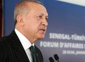 Ông Erdogan: Không chấp nhận kế hoạch hòa bình của ông Trump 