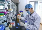 Thiếu người thử vaccine, hãng dược Trung Quốc phải sang UAE