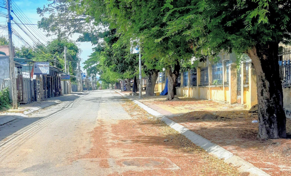 Hàng me 50 năm tuổi được giữ lại sau khi làm con đường vào làng gốm Bàu Trúc. Hàng me 50 năm tuổi được giữ lại sau khi làm con đường vào làng gốm Bàu Trúc.